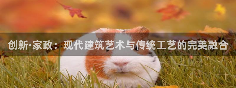 富联娱乐公司简介：创新·家政：现代建筑艺术与传统工艺的完美融合