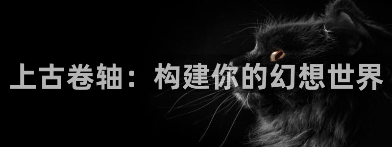 富联娱乐下载：上古卷轴：构建你的幻想世界