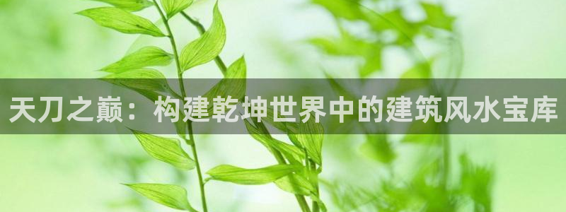 富联2娱乐贴吧官网：天刀之巅：构建乾坤世界中的建筑风水宝库