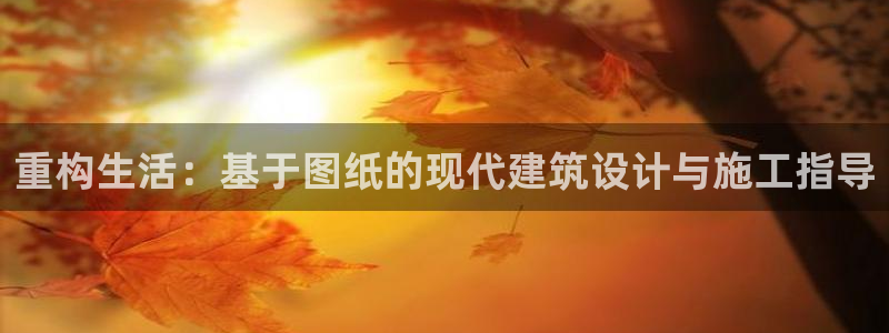 富联娱乐信誉怎么样：重构生活：基于图纸的现代建筑设计与施工指导