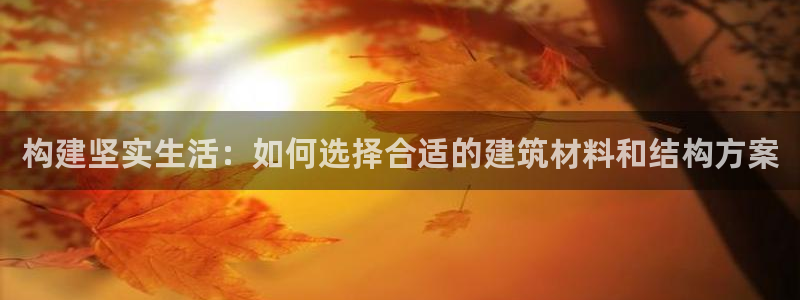 富联娱乐元哥：构建坚实生活：如何选择合适的建筑材料和结构方案