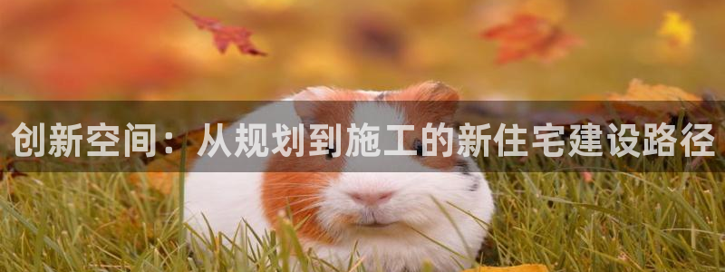 富联娱乐主营业务范围：创新空间：从规划到施工的新住宅建设路径