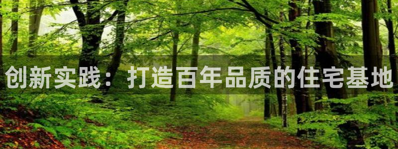 富联娱乐注册正唐老鸭779O3：创新实践：打造百年品质的住宅基地