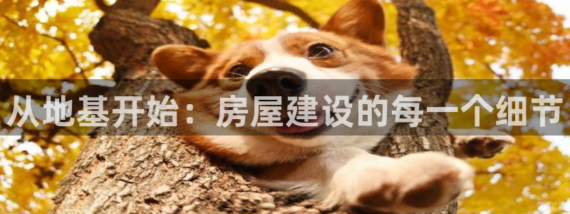 富联娱乐开户：从地基开始：房屋建设的每一个细节