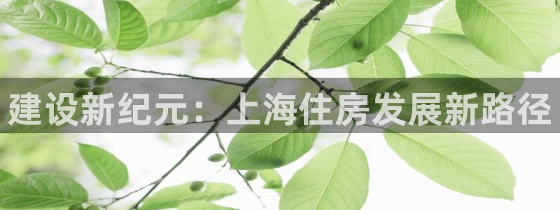 富联娱乐注册答唐老鸭779O3：建设新纪元：上海住房发展新路径