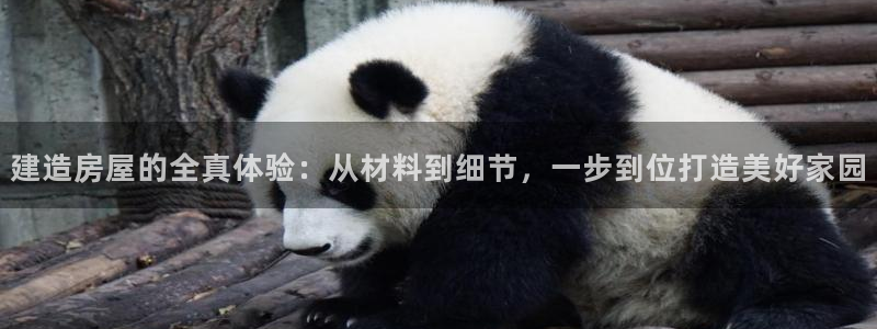 富联娱乐系究7276O：建造房屋的全真体验：从材料到细节，一步到位打造美好家园