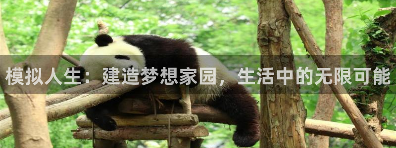 富联娱乐登录入口：模拟人生：建造梦想家园，生活中的无限可能