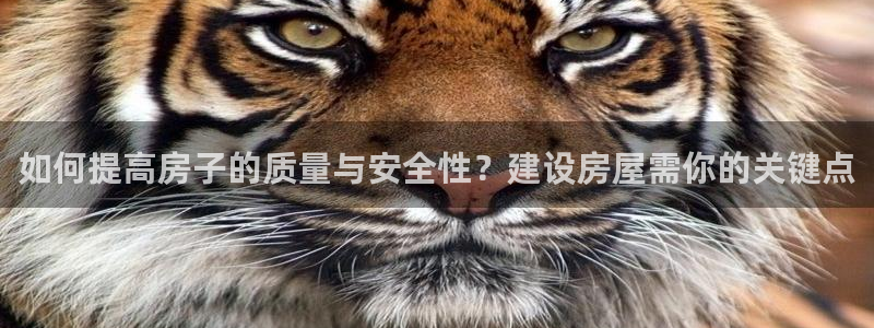 富联娱乐官网入口网址：如何提高房子的质量与安全性？建设房屋需你的关键点