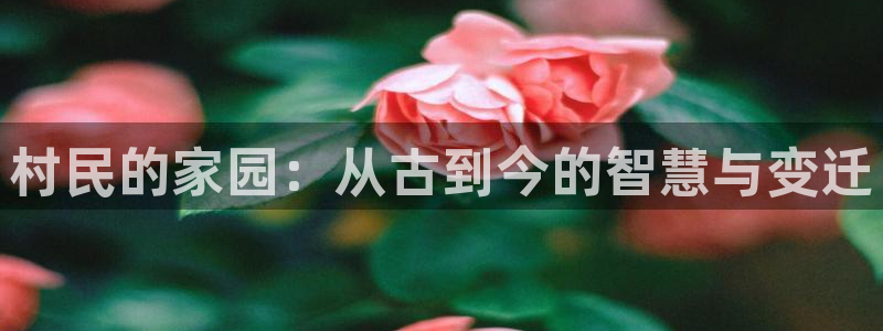 富联娱乐首页登录不上：村民的家园：从古到今的智慧与变迁