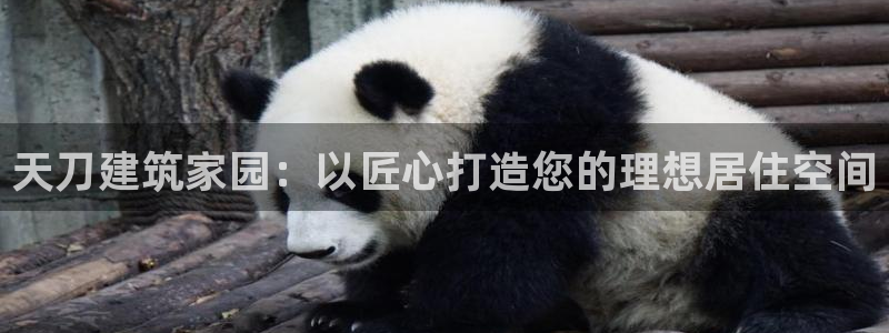 富联娱乐主营业务有哪些：天刀建筑家园：以匠心打造您的理想居住空间