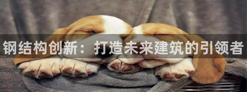 富联娱乐客户端下载安装：钢结构创新：打造未来建筑的引领者