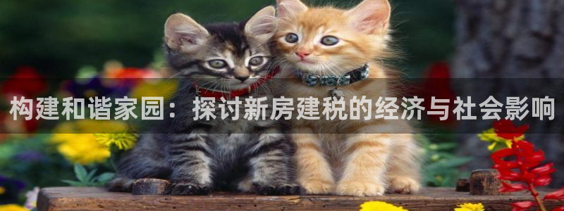 富联娱乐官网下载安卓：构建和谐家园：探讨新房建税的经济与社会影响
