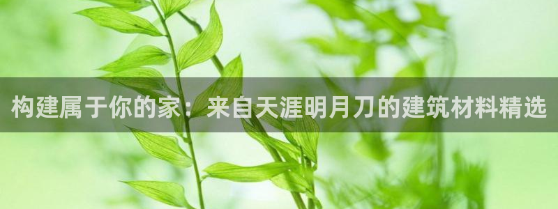 富联娱乐主管施判官333OO：构建属于你的家：来自天涯明月刀的建筑材料精选