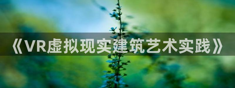 富联娱乐服务站：《VR虚拟现实建筑艺术实践》