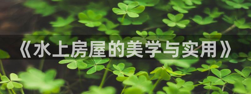 富联娱乐主管终判官333OO：《水上房屋的美学与实用》
