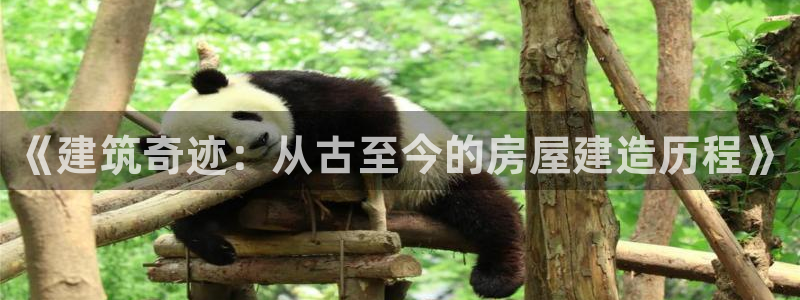 富联娱乐结7O935