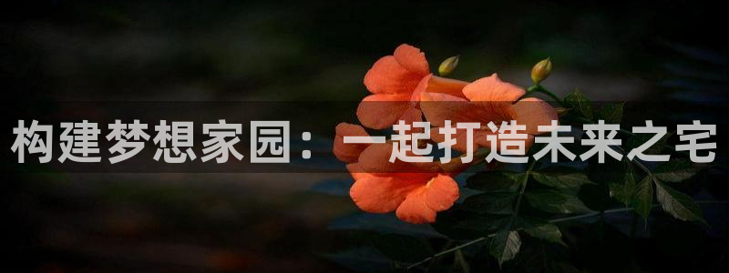 富联娱乐21192：构建梦想家园：一起打造未来之宅