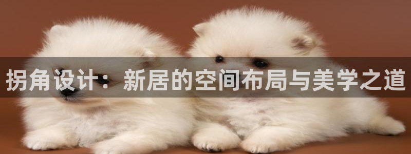 富联娱乐首页网址：拐角设计：新居的空间布局与美学之道