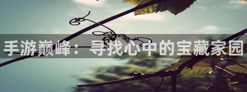 富联娱乐招商主管是谁呀：手游巅峰：寻找心中的宝藏家园