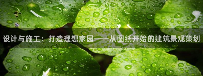富联娱乐在线注册链接怎么弄：设计与施工：打造理想家园——从图纸开始的建筑景观策划
