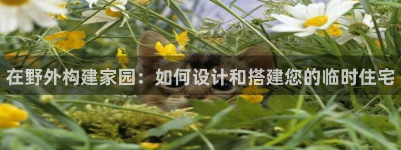 富联娱乐招商主管：在野外构建家园：如何设计和搭建您的临时住宅