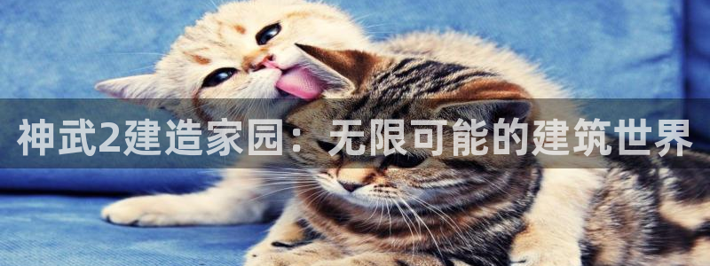 富联娱乐巾六七五一38