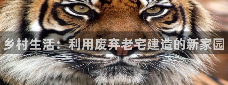 富联娱乐注册维判官333OO：乡村生活：利用废弃老宅建造的新家园