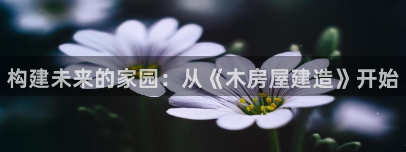 富联娱乐官方网站首页下载：构建未来的家园：从《木房屋建造》开始
