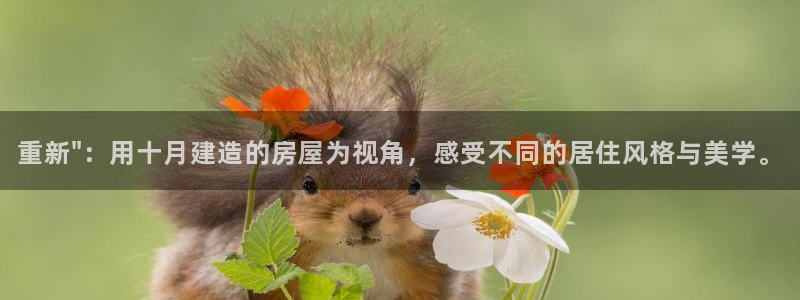 富联娱乐官方网站首页登录：重新\