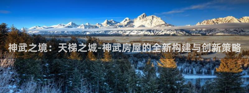 富联娱乐平台登录不上去：神武之境：天梯之城-神武房屋的全新构建与创新策略