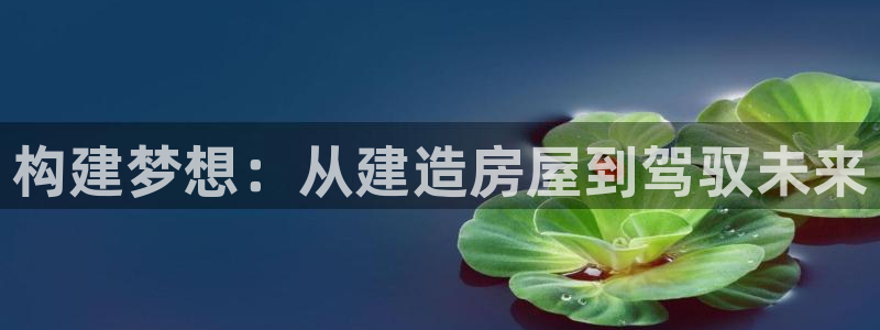 富联娱乐账号注册：构建梦想：从建造房屋到驾驭未来
