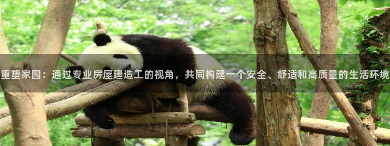 富联2娱乐是正规平台吗：重塑家园：通过专业房屋建造工的视角，共同构建一个安全、舒适和高质量的生活环境