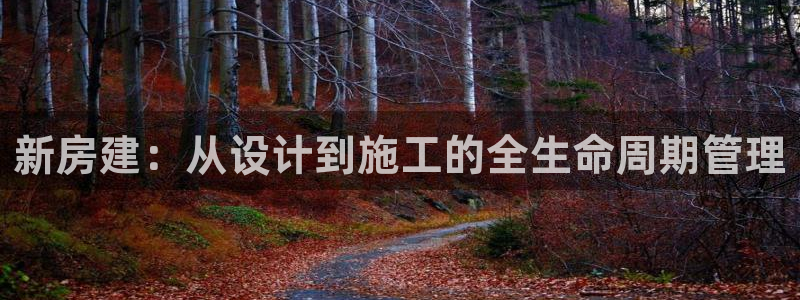 富联娱乐官网下载手机版：新房建：从设计到施工的全生命周期管理