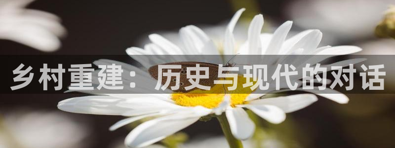 富联娱乐平台登录不上：乡村重建：历史与现代的对话