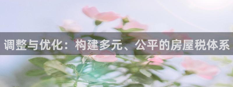 富联娱乐平台登录网址查询：调整与优化：构建多元、公平的房屋税体系