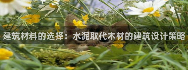 富联娱乐招商主管是谁：建筑材料的选择：水泥取代木材的建筑设计策略
