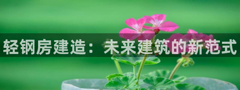 富联娱乐了67OO6：轻钢房建造：未来建筑的新范式