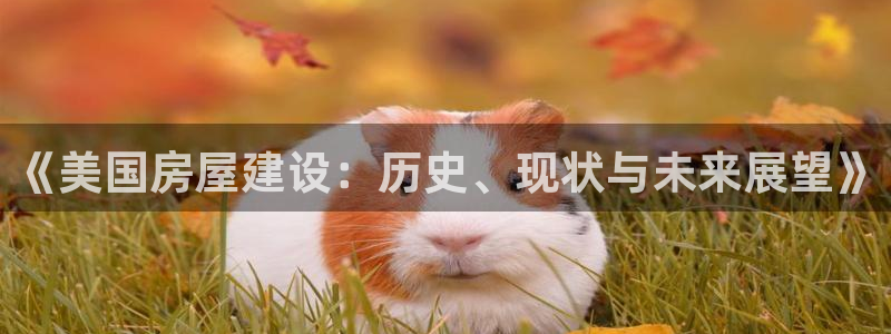 富联娱乐 找86555：《美国房屋建设：历史、现状与未来展望》