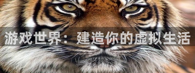富联娱乐登录链接在哪看：游戏世界：建造你的虚拟生活
