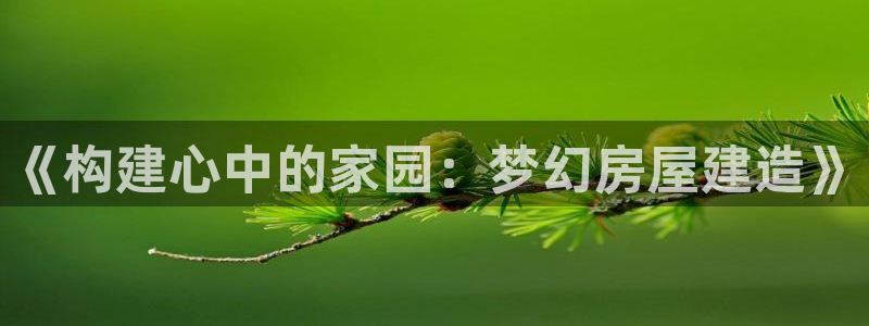 富联娱乐若七九九47：《构建心中的家园：梦幻房屋建造》