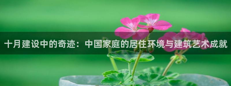 富联2娱乐资讯官网下载：十月建设中的奇迹：中国家庭的居住环境与建筑艺术成就