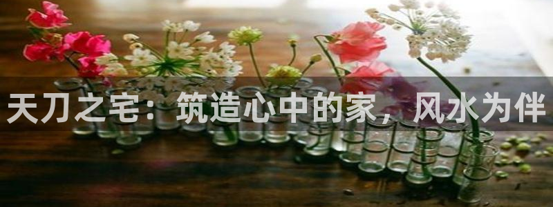 富联娱乐测速地址查询：天刀之宅：筑造心中的家，风水为伴