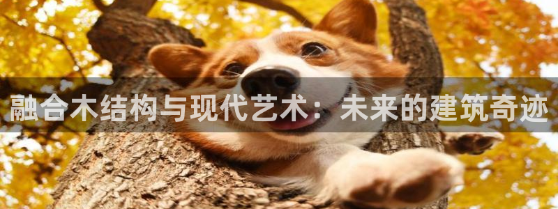 富联娱乐个六七五一38：融合木结构与现代艺术：未来的建筑奇迹