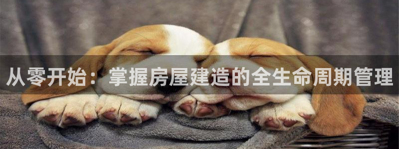 富联娱乐怎么样知乎推荐：从零开始：掌握房屋建造的全生命周期管理