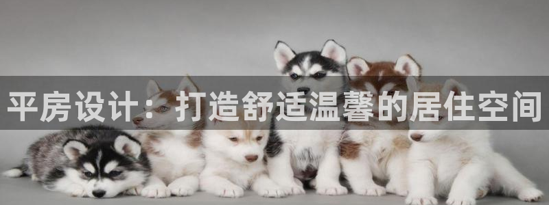 富联娱乐官网入口网址