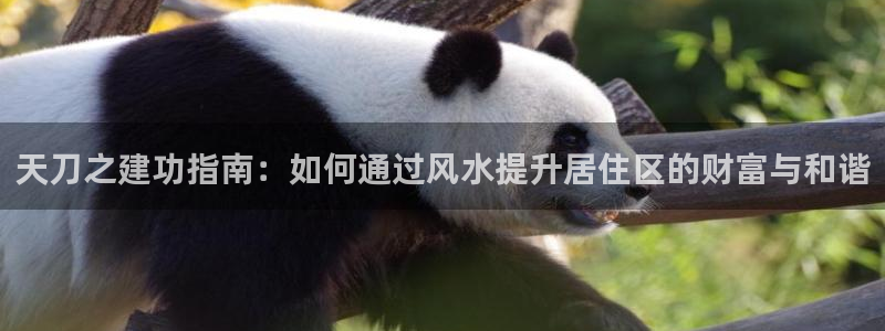 富联娱乐注册认判官333OO：天刀之建功指南：如何通过风水提升居住区的财富与和谐