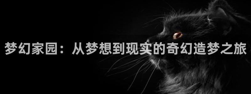 富联娱乐开户流程视频：梦幻家园：从梦想到现实的奇幻造梦之旅