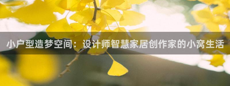 富联娱乐总代理是谁啊：小户型造梦空间：设计师智慧家居创作家的小窝生活
