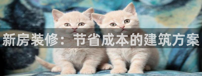 富联娱乐元哥：新房装修：节省成本的建筑方案