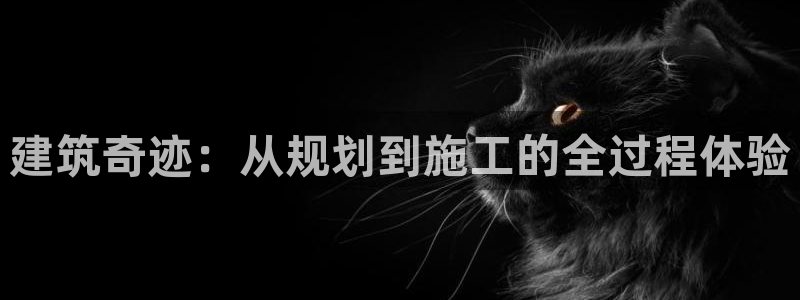 富联娱乐登录网址：建筑奇迹：从规划到施工的全过程体验
